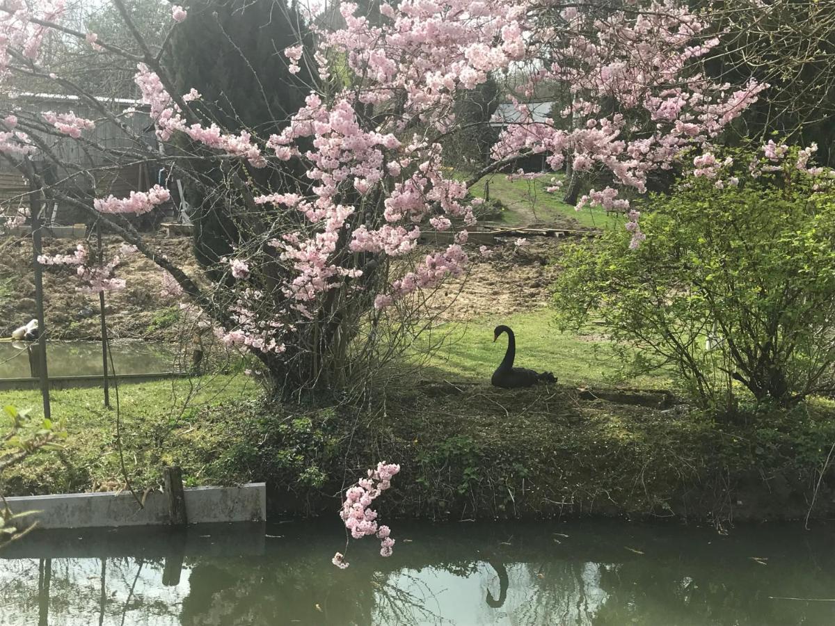 Bed and Breakfast Le Moulin Calme Luceau Esterno foto